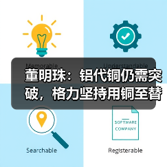 董明珠：铝代铜仍需突破，格力坚持用铜至替代达标（图2）