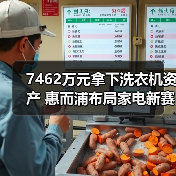 7462万元拿下洗衣机资产 惠而浦布局家电新赛道？（图2）
