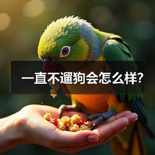 一直不遛狗会怎么样？（图4）