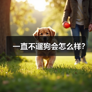 一直不遛狗会怎么样？（图2）