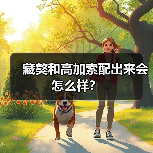 藏獒和高加索配出来会怎么样？（图1）