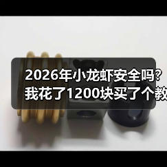 2026年小龙虾安全吗?我花了1200块买了个教训(图1) 2026年小龙虾安全吗?我花了1200块买了个教训(图1)